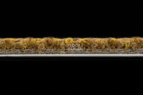 Desso Marvel 6211 фото 4 | FLOORDEALER